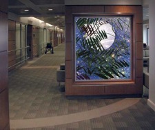 Digital Prints: Circle of Life Series